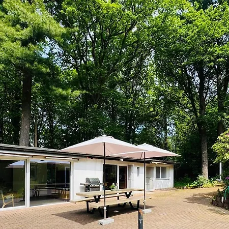 Chalet Waldchalet Burgholz - Ruhiges Im Grünen Nahe Elberfeld